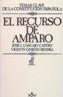 RECURSO DE AMPARO, EL | 9788430916214 | JOSE LUIS CASCAJO CASTRO | Cooperativa Cultural Rocaguinarda