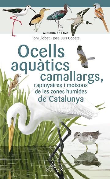 OCELLS AQUÀTICS CAMALLARGS, RAPINYAIRES I MOIXONS DE LES ZONES HUMIDES DE CATALU | 9788413564746 | COPETE, JOSÉ LUIS | Cooperativa Cultural Rocaguinarda