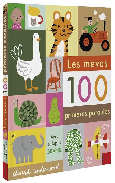 MEVES 100 PRIMERES PARAULES, LES | 9788491015932 | UNDERWOOD, EDWARD | Cooperativa Cultural Rocaguinarda