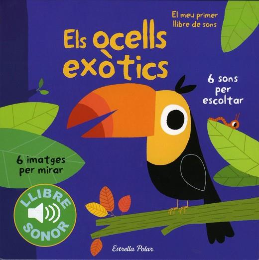 OCELLS EXÒTICS, ELS | 9788490571811 | BILLET, MARION | Cooperativa Cultural Rocaguinarda