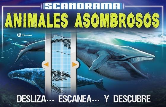 SCANORAMA. ANIMALES ASOMBROSOS | 9788469623657 | CLAYBOURNE, ANNA | Cooperativa Cultural Rocaguinarda