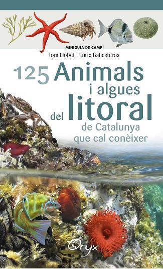125 ANIMALS I ALGUES DEL LITORAL DE CATALUNYA | 9788490347416 | BALLESTEROS SAGARRA, ENRIC | Cooperativa Cultural Rocaguinarda