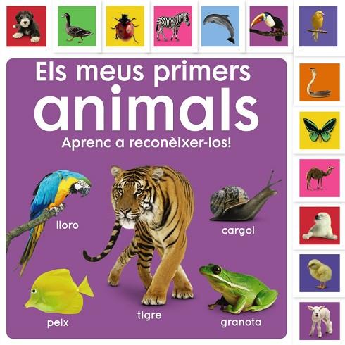 MEUS PRIMERS ANIMALS. APRENC A RECONÈIXER-LOS! | 9788413492476 | SIRETT, DAWN | Cooperativa Cultural Rocaguinarda
