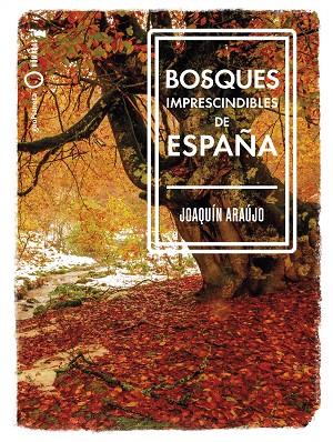 BOSQUES IMPRESCINDIBLES DE ESPAÑA | 9788408239529 | ARAÚJO, JOAQUÍN | Cooperativa Cultural Rocaguinarda