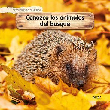 CONOZCO LOS ANIMALES DEL BOSQUE | 9788491422938 | LAMOUR-CROCHET, CÉLINE | Cooperativa Cultural Rocaguinarda