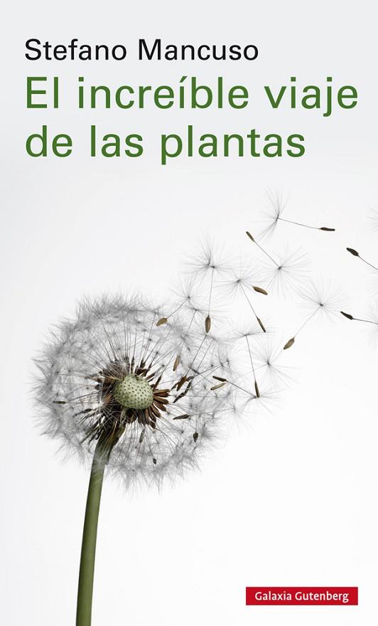 INCREÍBLE VIAJE DE LAS PLANTAS, EL | 9788417747312 | MANCUSO, STEFANO | Cooperativa Cultural Rocaguinarda
