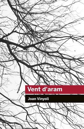VENT D'ARAM | 9788415954248 | JOAN VINYOLI PLADEVALL | Cooperativa Cultural Rocaguinarda