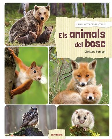 ANIMALS DEL BOSC, ELS | 9788417599027 | ROMATIF, ALEXIA | Cooperativa Cultural Rocaguinarda