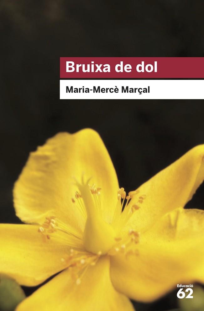 BRUIXA DE DOL (1977-1979) | 9788415954736 | MARÇAL SERRA, M. MERCÈ | Cooperativa Cultural Rocaguinarda
