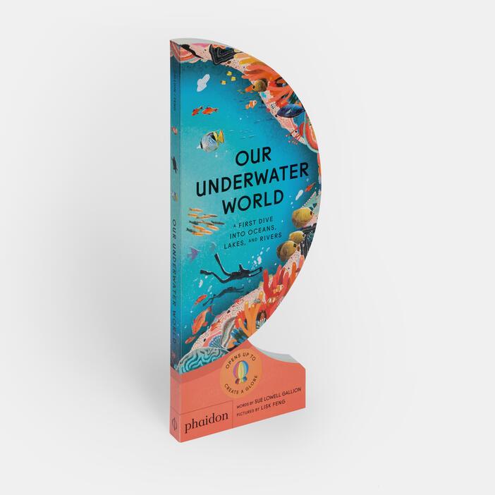 OUR UNDERWATER WORLD | 9781838667009 | FENG, LISK;LOWELL GALLION, SUE | Cooperativa Cultural Rocaguinarda
