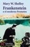 FRANKENSTEIN O EL MODERNO PROMETEO | 9788420634265 | SHELLEY, MARY WOLLSTONECRAFT | Cooperativa Cultural Rocaguinarda