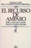 RECURSO DE AMPARO, EL | 9788430916214 | JOSE LUIS CASCAJO CASTRO | Cooperativa Cultural Rocaguinarda