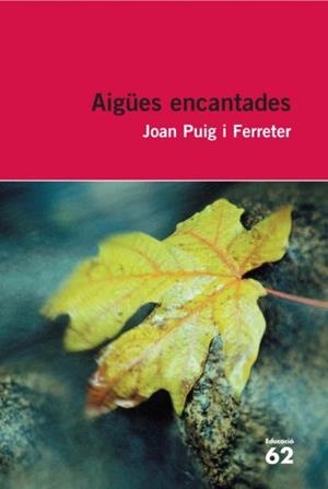 AIGÜES ENCANTADES | 9788492672431 | PUIG I FERRETER, JOAN | Cooperativa Cultural Rocaguinarda
