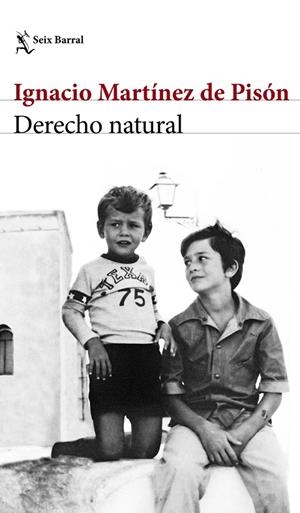 DERECHO NATURAL | 9788432232220 | MARTÍNEZ DE PISÓN, IGNACIO | Cooperativa Cultural Rocaguinarda