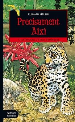 PRECISAMENT AIXí | 9788426144539 | KIPLING, RUDYARD | Cooperativa Cultural Rocaguinarda