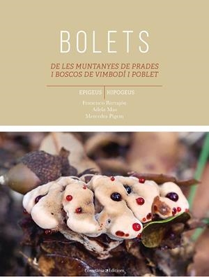 BOLETS DE LES MUNTANYES DE PRADES I BOSCOS DE VIMBODÍ I POBLET | 9788490347584 | BARRAJÓN IBÁÑEZ, FRANCISCO/PIGEM CIURANA, MARIA MERCEDES/MAS CARRE, ADELA | Cooperativa Cultural Rocaguinarda