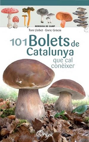 101 BOLETS DE CATALUNYA | 9788490347096 | LLOBET FRANÇOIS, TONI/GRÀCIA, ENRIC | Cooperativa Cultural Rocaguinarda