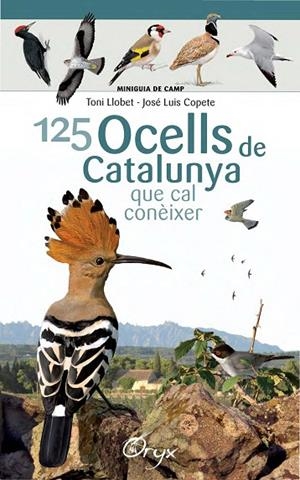 125 OCELLS DE CATALUNYA | 9788490346747 | LLOBET FRANÇOIS, TONI/COPETE, JOSÉ LUIS | Cooperativa Cultural Rocaguinarda