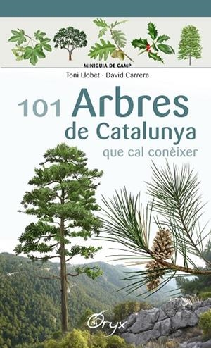 101 ARBRES DE CATALUNYA | 9788490346778 | LLOBET FRANÇOIS, TONI/CARRERA BONET, DAVID | Cooperativa Cultural Rocaguinarda