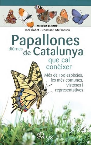 PAPALLONES DIÜRNES DE CATALUNYA | 9788490346754 | LLOBET FRANÇOIS, TONI/STEFANESCU, CONSTANTÍ | Cooperativa Cultural Rocaguinarda