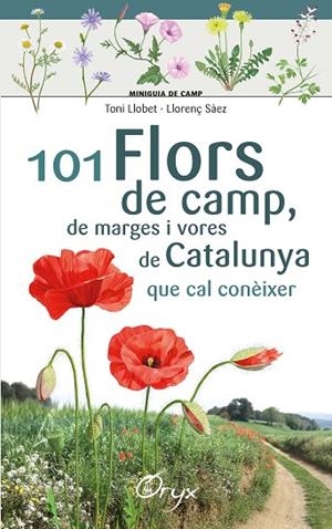 101 FLORS DE CAMP, DE MARGES I VORES DE CATALUNYA | 9788490348413 | LLOBET FRANÇOIS , TONI/SÀEZ GOÑALONS , LLORENÇ | Cooperativa Cultural Rocaguinarda