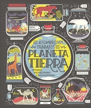 PLANETA TIERRA | 9788417651794 | IGNOTOFSKY, RACHEL | Cooperativa Cultural Rocaguinarda