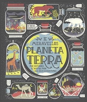 MERAVELLÓS PLANETA TERRA, EL | 9788491378778 | IGNOTOFSKY, RACHEL | Cooperativa Cultural Rocaguinarda