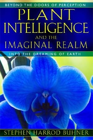 PLANT INTELLIGENCE AND THE IMAGINAL REALM | 9781591431350 | BUHNER, STEPHEN HARROD | Cooperativa Cultural Rocaguinarda