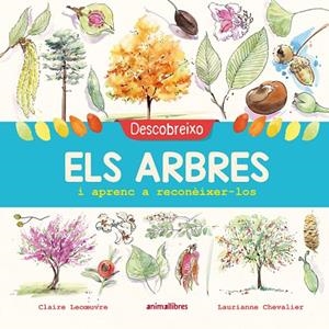 DESCOBREIXO ELS ARBRES I APRENC A RECONÈIXER-LOS | 9788417599195 | LECOEUVRE, CLAIRE | Cooperativa Cultural Rocaguinarda