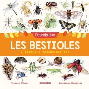 DESCOBREIXO LES BESTIOLES I APRENC A RECONÈIXER-LES | 9788417599201 | ALBOUY, VINCENT | Cooperativa Cultural Rocaguinarda