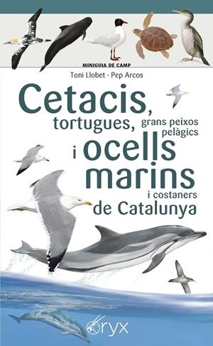 CETACIS, TORTUGUES, GRANS PEIXOS PELÀGICS I OCELLS MARINS DE CATALUNYA | 9788490349441 | LLOBET FRANÇOIS , TONI/ARCOS XX, PEP | Cooperativa Cultural Rocaguinarda