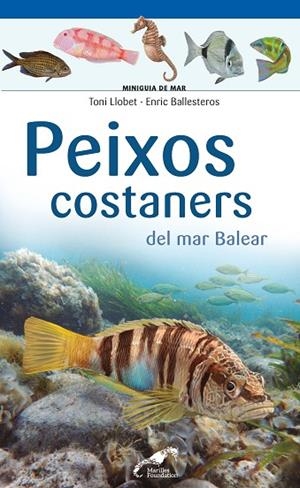 PEIXOS COSTANERS DEL MAR BALEAR | 9788490349403 | LLOBET FRANÇOIS , TONI/BALLESTEROS SAGARRA , ENRIC | Cooperativa Cultural Rocaguinarda