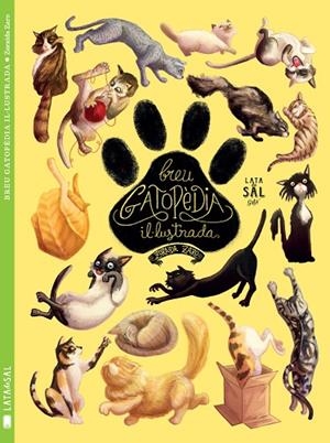 BREU GATOPÈDIA IL·LUSTRADA | 9788494469886 | ZARO SOTO, ZORAIDA | Cooperativa Cultural Rocaguinarda