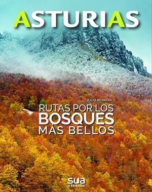 RUTAS POR LOS BOSQUES MÁS BELLOS | 9788482167190 | HERRERA MENENDEZ, JULIO | Cooperativa Cultural Rocaguinarda