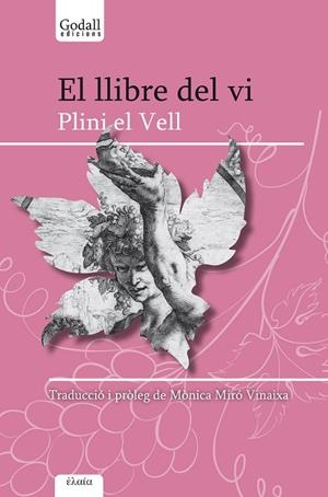 LLIBRE DEL VI, EL | 9788412161014 | PLINI EL VELL | Cooperativa Cultural Rocaguinarda