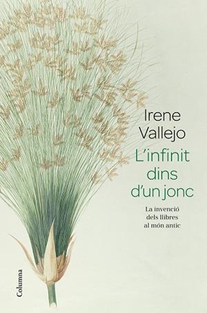 INFINIT DINS D'UN JONC, L' | 9788466426947 | VALLEJO, IRENE | Cooperativa Cultural Rocaguinarda