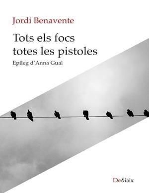 TOTS ELS FOCS TOTES LES PERSONES | 9788418758003 | BENAVENTE, JORDI | Cooperativa Cultural Rocaguinarda