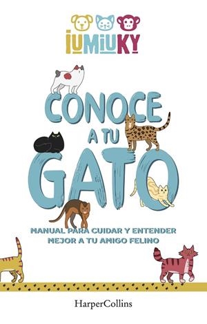CONOCE A TU GATO. MANUAL PARA CUIDAR Y ENTENDER MEJOR A TU AMIGO FELINO | 9788491396529 | IUMIUKY, MEDIASET | Cooperativa Cultural Rocaguinarda