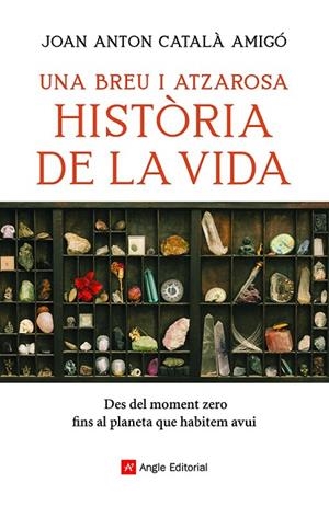 BREU I ATZAROSA HISTÒRIA DE LA VIDA, UNA | 9788418197956 | CATALÀ AMIGÓ, JOAN ANTON | Cooperativa Cultural Rocaguinarda