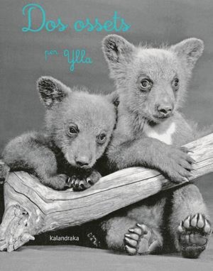 DOS OSSETS | 9788418558283 | KOFFLER, CAMILLA | Cooperativa Cultural Rocaguinarda