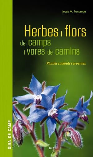 HERBES I FLORS DE CAMPS I VORES DE CAMINS | 9788418096082 | PANAREDA CLOPÉS, JOSEP M | Cooperativa Cultural Rocaguinarda