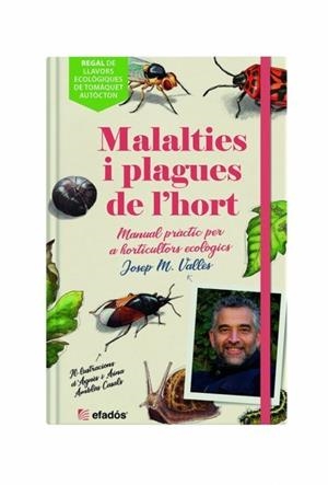MALALTIES I PLAGUES DE L'HORT | 9788419239044 | VALLÈS, JOSEP MARIA | Cooperativa Cultural Rocaguinarda
