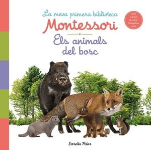 ANIMALS DEL BOSC, ELS. LA MEVA PRIMERA BIBLIOTECA MONTESSORI | 9788413890159 | AA. VV. | Cooperativa Cultural Rocaguinarda