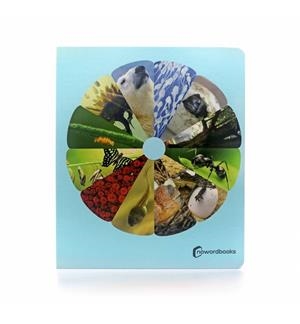 CICLOS DE LA VIDA GRANDE | 9788412344530 | Cooperativa Cultural Rocaguinarda