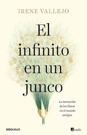 INFINITO EN UN JUNCO, EL | 9788466358293 | VALLEJO, IRENE | Cooperativa Cultural Rocaguinarda