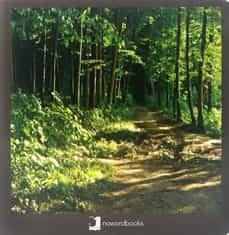 BOSQUE | 9788412171020 | VV.AA. | Cooperativa Cultural Rocaguinarda