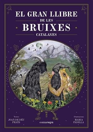 GRAN LLIBRE DE LES BRUIXES CATALANES, EL  | 9788418857751 | PRATS, JOAN DE DÉU/PADILLA CLIMENT, MARIA | Cooperativa Cultural Rocaguinarda