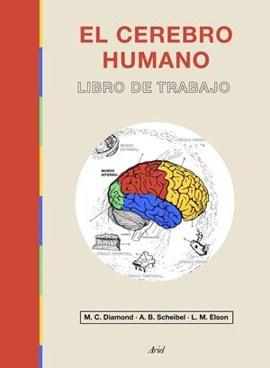 CEREBRO HUMANO, EL  | 9788434433601 | DIAMOND, MARIAN C./ELSON, LAWRENCE M./SCHEIBEL, A. B. | Cooperativa Cultural Rocaguinarda
