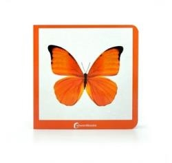 NARANJA 43 | 9788412534443 | Cooperativa Cultural Rocaguinarda