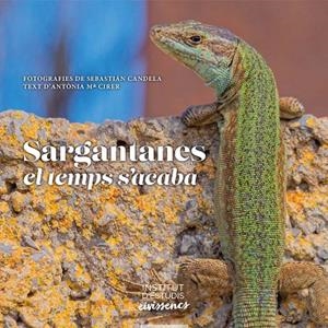 SARGANTANES | 9788487455865 | CANDELA MARTÍNEZ, SEBASTIÁN/CIRER, ANTÒNIA MARIA | Cooperativa Cultural Rocaguinarda